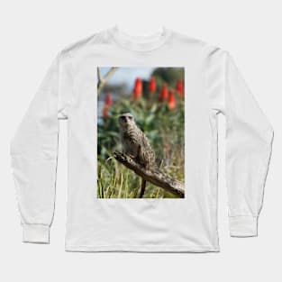 Meerkat Branch Office Long Sleeve T-Shirt